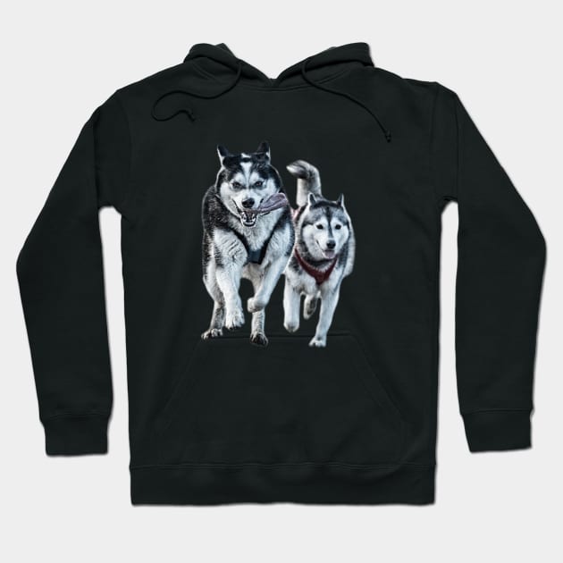 Siberian Huskies Hoodie by raiseastorm